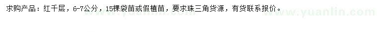 求購6-7公分紅千層