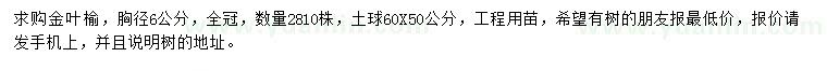 求購(gòu)胸徑6公金葉榆