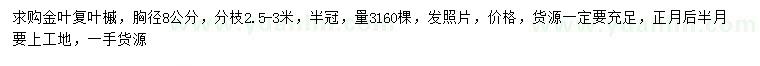 求購胸徑8公分金葉復(fù)葉槭