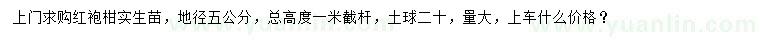 求購地徑5公分紅袍柑