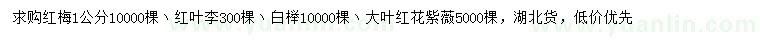 求購紅梅、紅葉李、白櫸等小苗