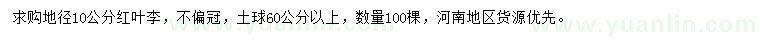 求購地徑10公分紅葉李
