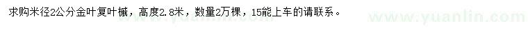 求購米徑2公分金葉復(fù)葉槭