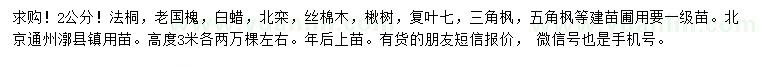 求購(gòu)法桐、老國(guó)槐、白蠟等