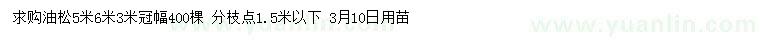 求購(gòu)冠幅3、5、6米油松