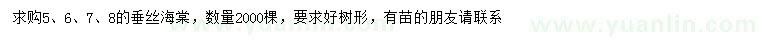 求購5、6、7、8公分垂絲海棠