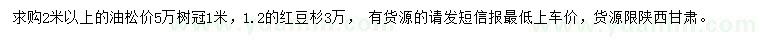 求購2米以上油松、1.2米紅豆杉