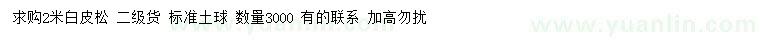 求購2米白皮松