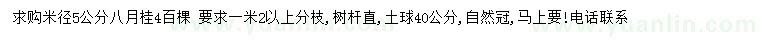 求購(gòu)米徑5公分八月桂