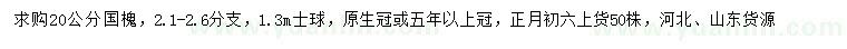 求購20公分國槐