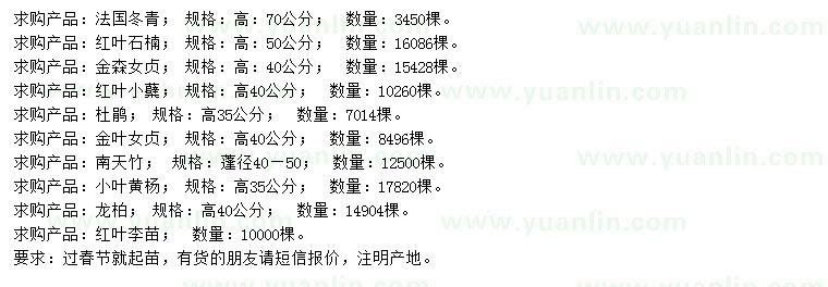 求購法國冬青、紅葉石楠、金森女貞等小苗