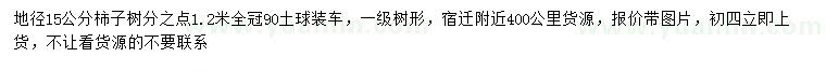 求購地徑15公分柿子樹