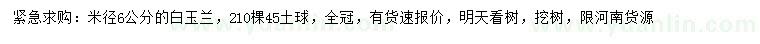 求購(gòu)米徑6公分白玉蘭