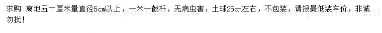 求購(gòu)50公分量5公分以上大葉女貞