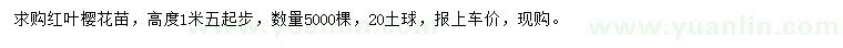 求購高1.5米紅葉櫻花