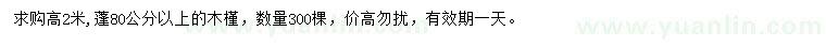 求購高2米木槿