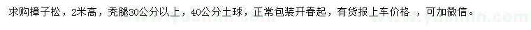 求購高2米樟子松