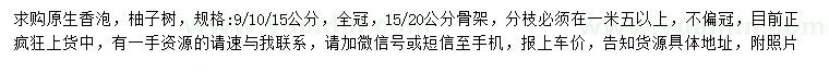 求購(gòu)9、10、15公分香泡、柚子樹