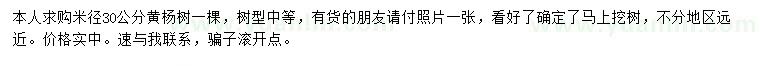 求購米徑30公分黃楊