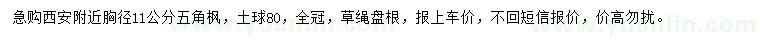 求購胸徑11公分五角楓