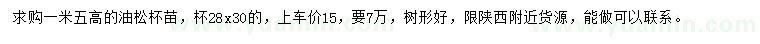 求購(gòu)高1.5米油松