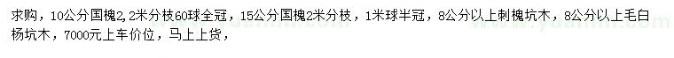 求購國槐、刺槐、毛白楊