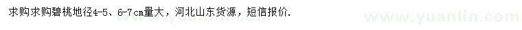 求購地徑4-5、6-7公分碧桃