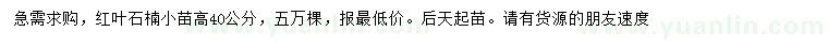 求購高40公分紅葉石楠
