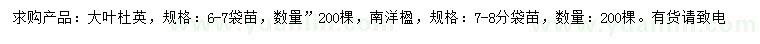 求購6-7公分大葉杜英、7-8公分南洋楹