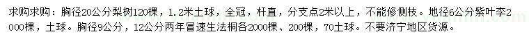 求購梨樹、紫葉李、速生法桐