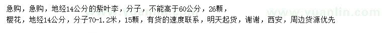 求購地徑14公分紫葉李、櫻花
