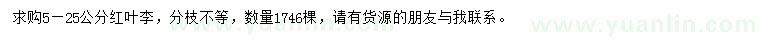 求購(gòu)5-25公分紅葉李