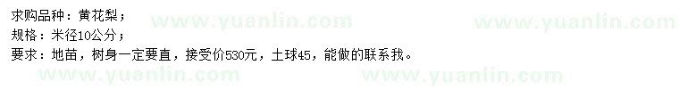求購米徑10公分黃花梨