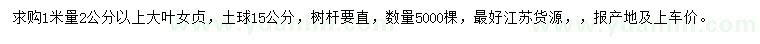 求購1米量2公分以上大葉女貞