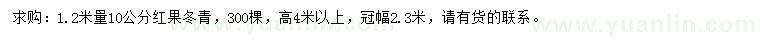 求購1.2米量10公分紅果冬青