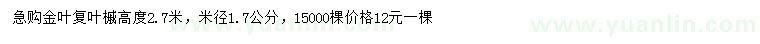 求購高2.7米金葉復(fù)葉槭