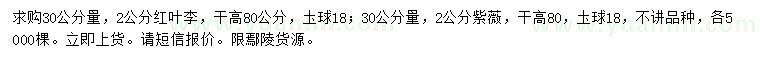 求購(gòu)30公分量2公分紅葉李、紫薇