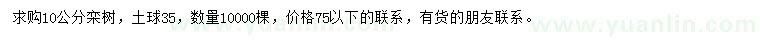 求購10公分欒樹
