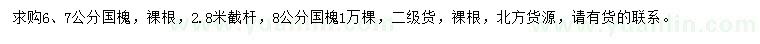 求購6、7、8公分國槐