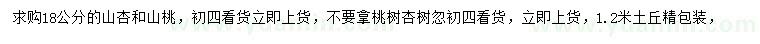 求購18公分山杏、山桃