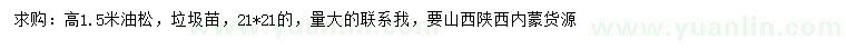 求購(gòu)高1.5米油松