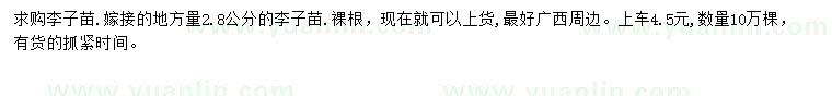 求購(gòu)嫁接的地方量2.8公分李子苗