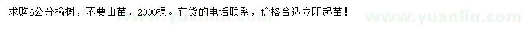 求購6公分榆樹