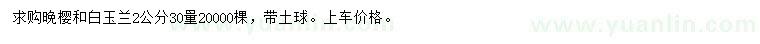 求購30量2公分晚櫻、白玉蘭