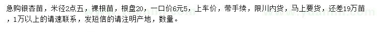 求購米徑2.5公分銀杏