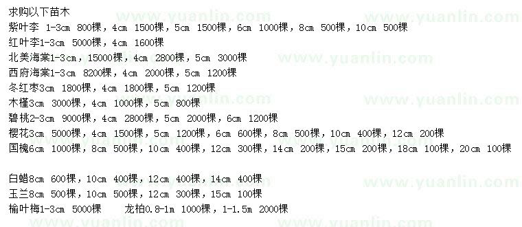 求購紫葉李、北美海棠、冬紅棗等