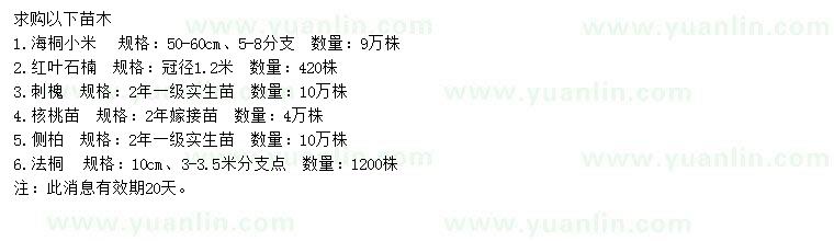 求購海桐小苗、紅葉石楠、刺槐等