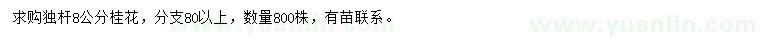 求購(gòu)6公分桂花