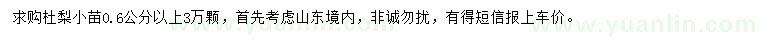 求購(gòu)0.6公分以上杜梨小苗