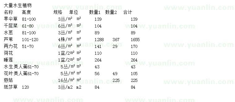 求購旱傘草、千屈菜、水蔥等